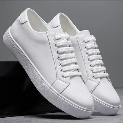 Pierpaolo – Sneakers Casual Moderne Per Uno Stile Urbano