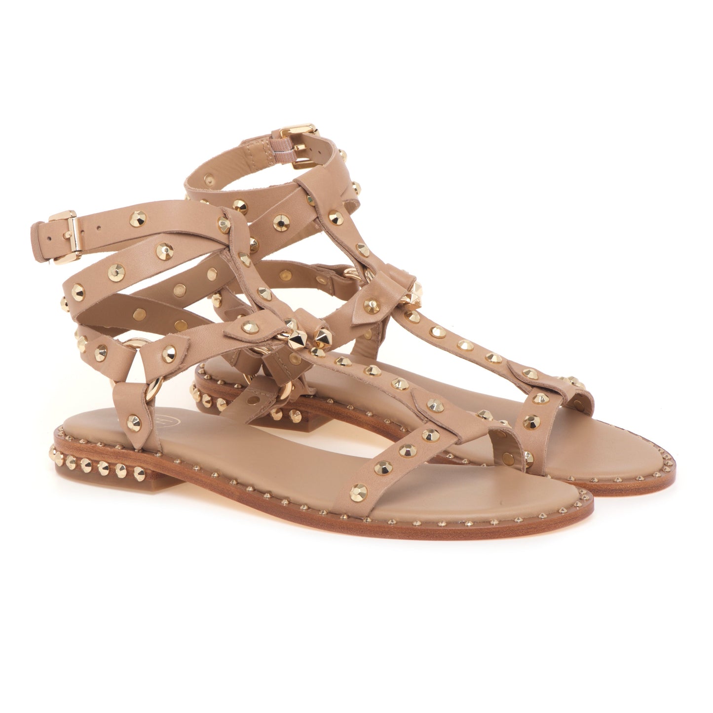 Dafne - Sandali bassi Ash Pulp borchie donna rock chic