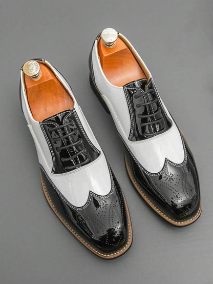 Armando – Scarpe Oxford Bicolore Da Uomo Con Stringhe Retro