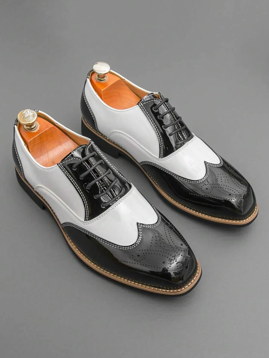 Armando – Scarpe Oxford Bicolore Da Uomo Con Stringhe Retro