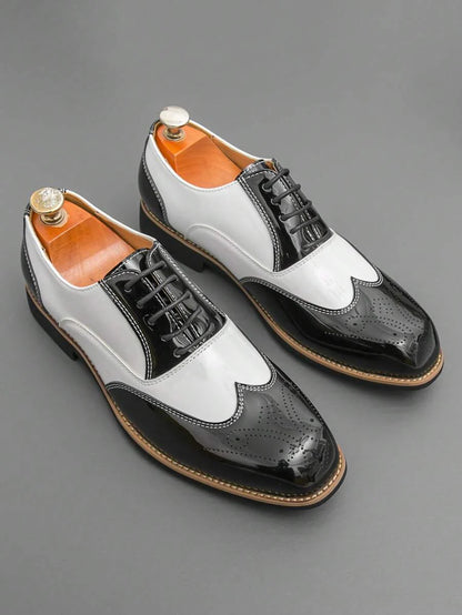 Armando – Scarpe Oxford Bicolore Da Uomo Con Stringhe Retro