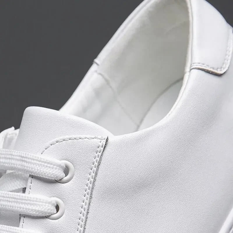 Pierpaolo – Sneakers Casual Moderne Per Uno Stile Urbano
